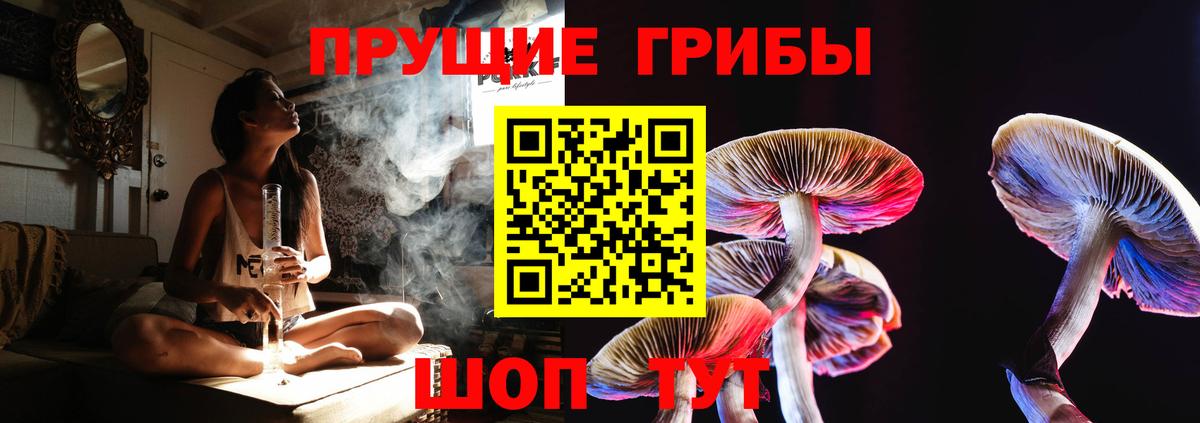 Псилоцибиновые грибы мицелий  Галлюциногенные грибы мицелий  Шумерля  Вход с VPN 